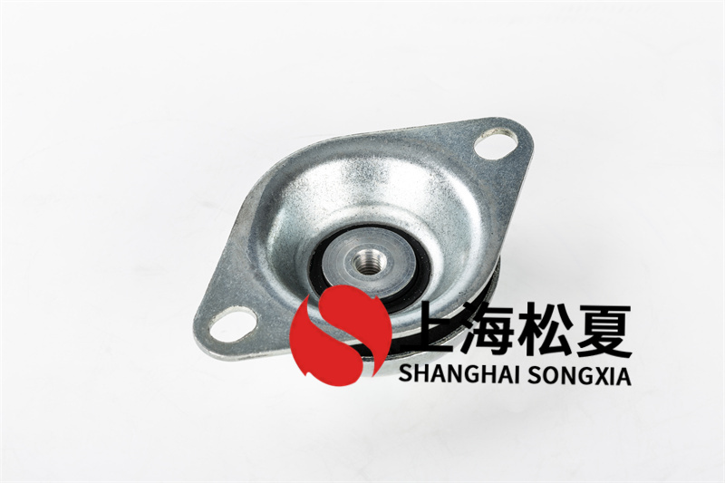 離心水泵橡膠草莓视频在线看器的防振措施有哪些？